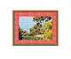 Picture Frame 10 x 15 cm (4 x 6 inch) picture size BELLASIX, 18400-C-1015