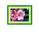 Picture Frame 13 x 18 cm (5 x 7 inch) picture size BELLASIX, 19803-C-1318