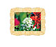 Picture Frame 15 x 20 cm (6 x 8 inch) picture size BELLASIX, 90300-B-1520