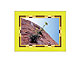 Picture Frame 15 x 20 cm (6 x 8 inch) picture size BELLASIX, 93915-C-1520